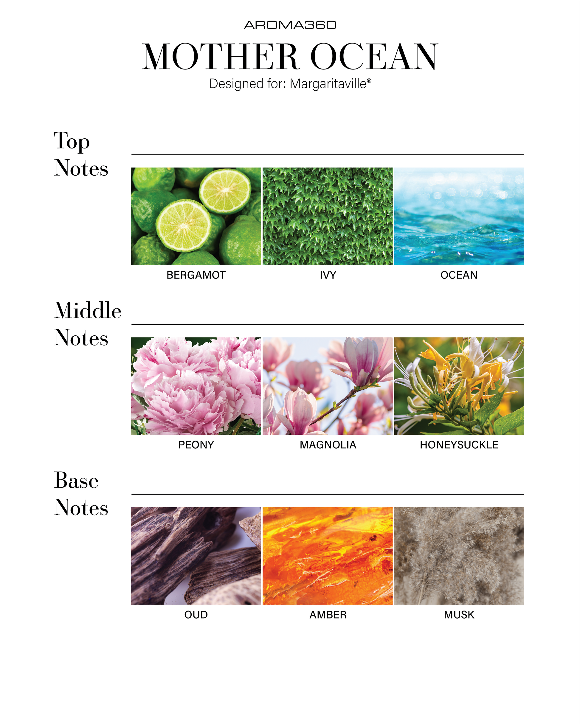 Trending Wellness Store