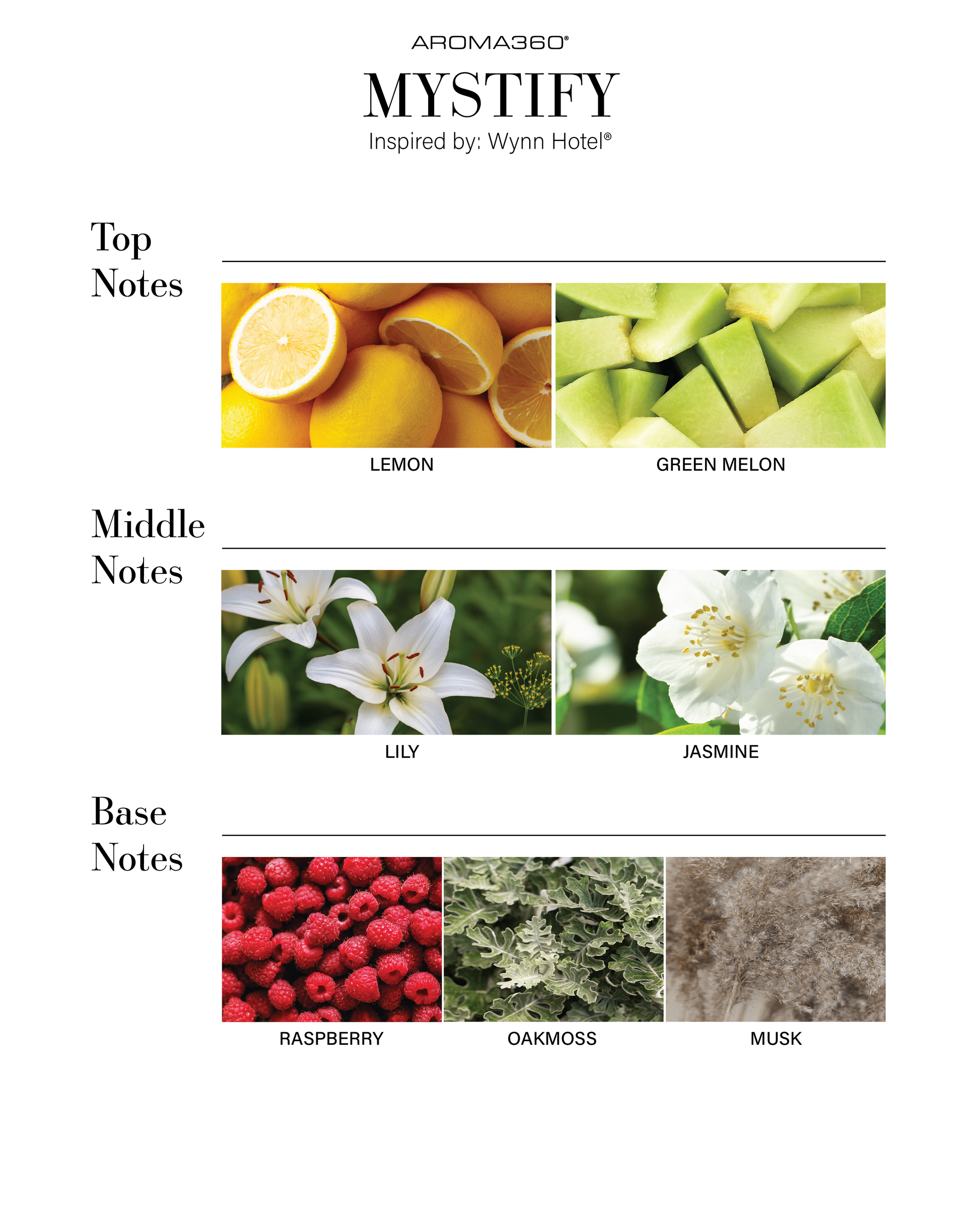 Trending Wellness Store