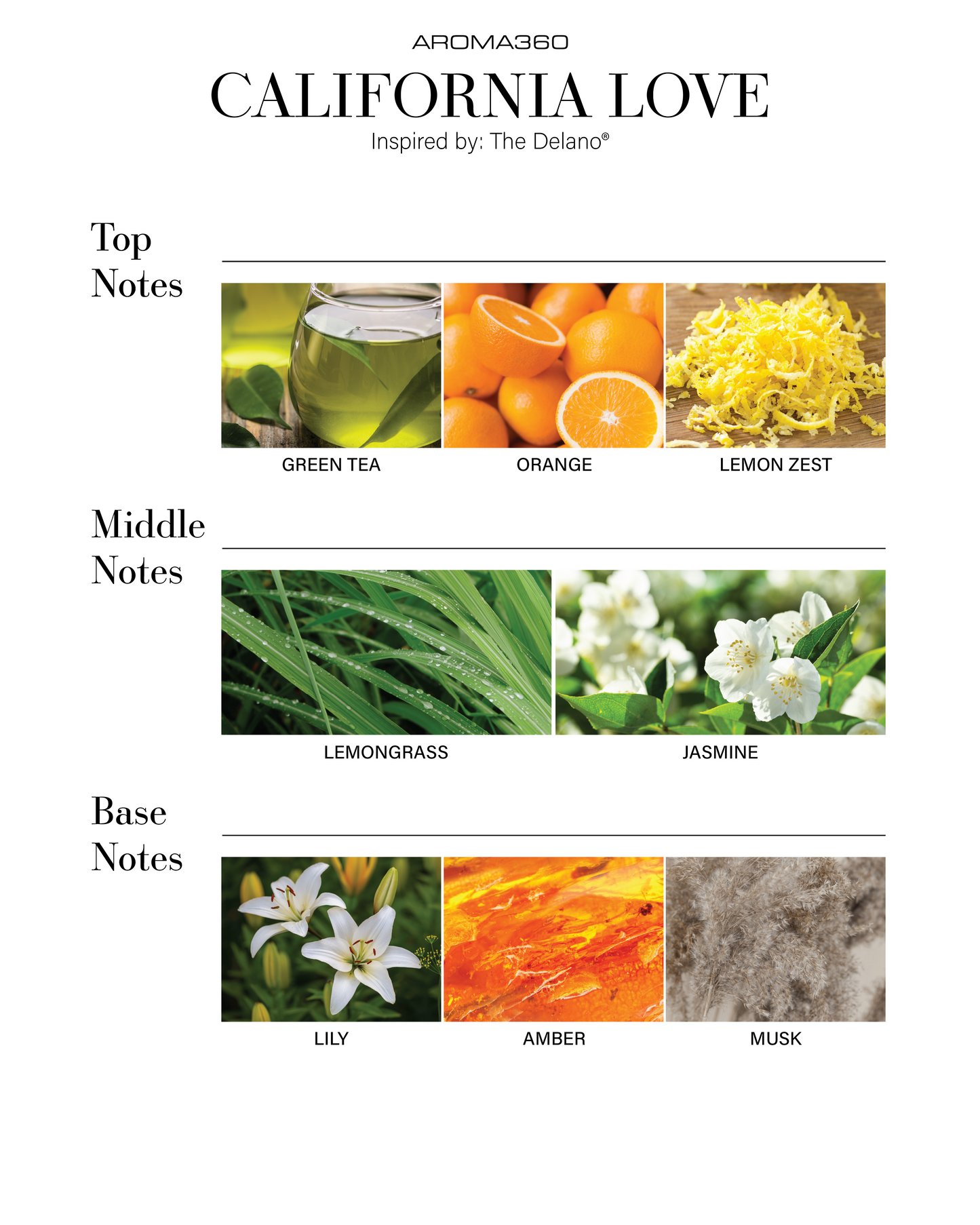 Smart Car Diffuser Oil - Trending Wellness Store