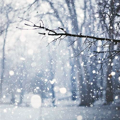 Snow - Trending Wellness Store