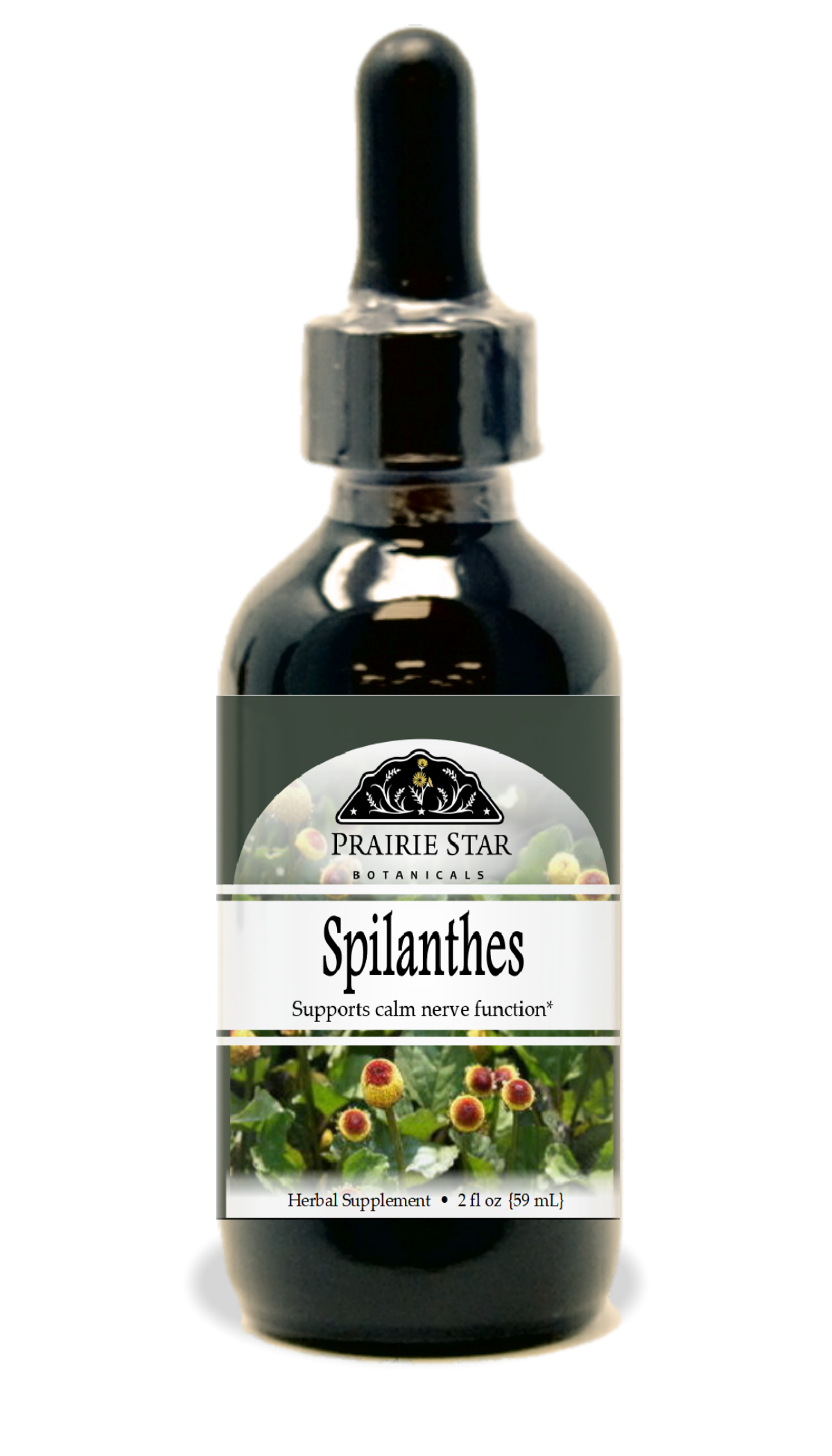 Trending Wellness Store