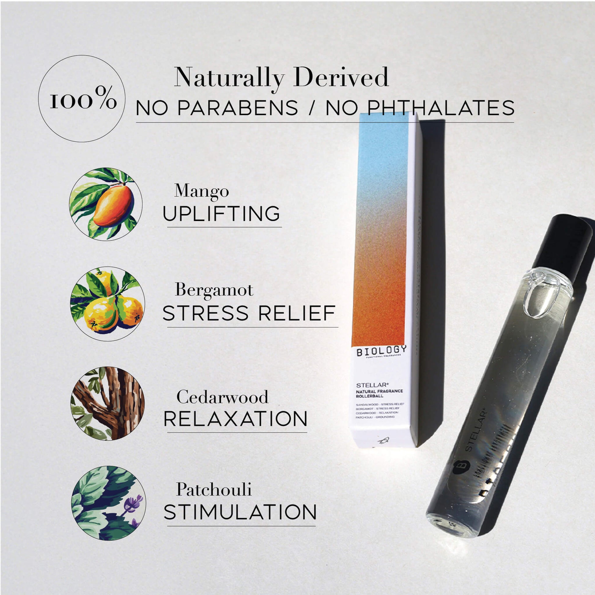 Trending Wellness Store