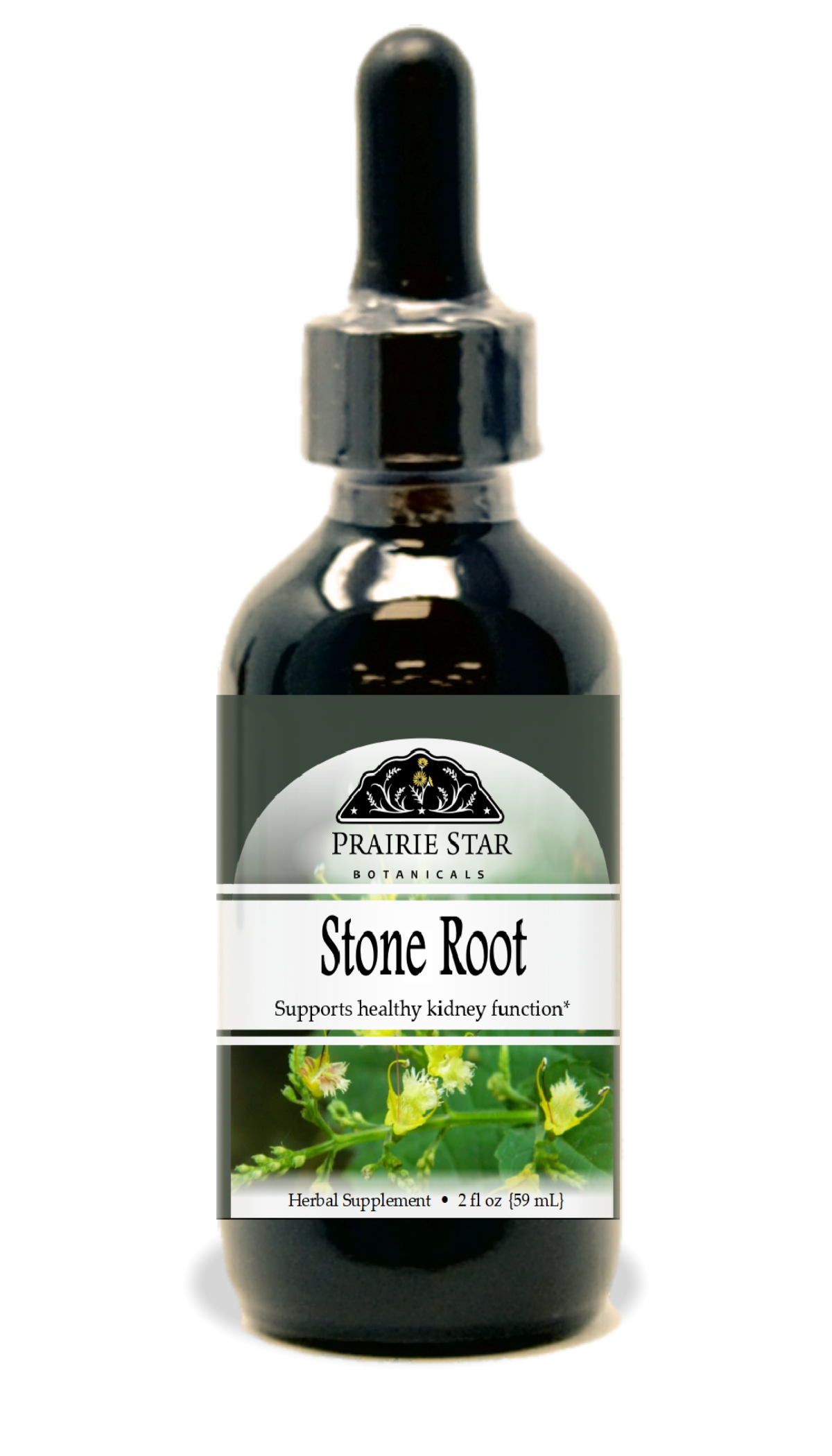 Trending Wellness Store