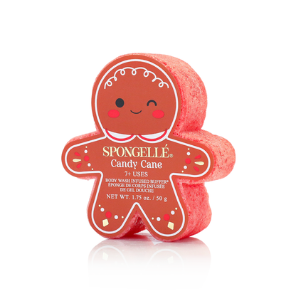 Sugar & Spice | Holiday Gingerbread Gift Set - Trending Wellness Store