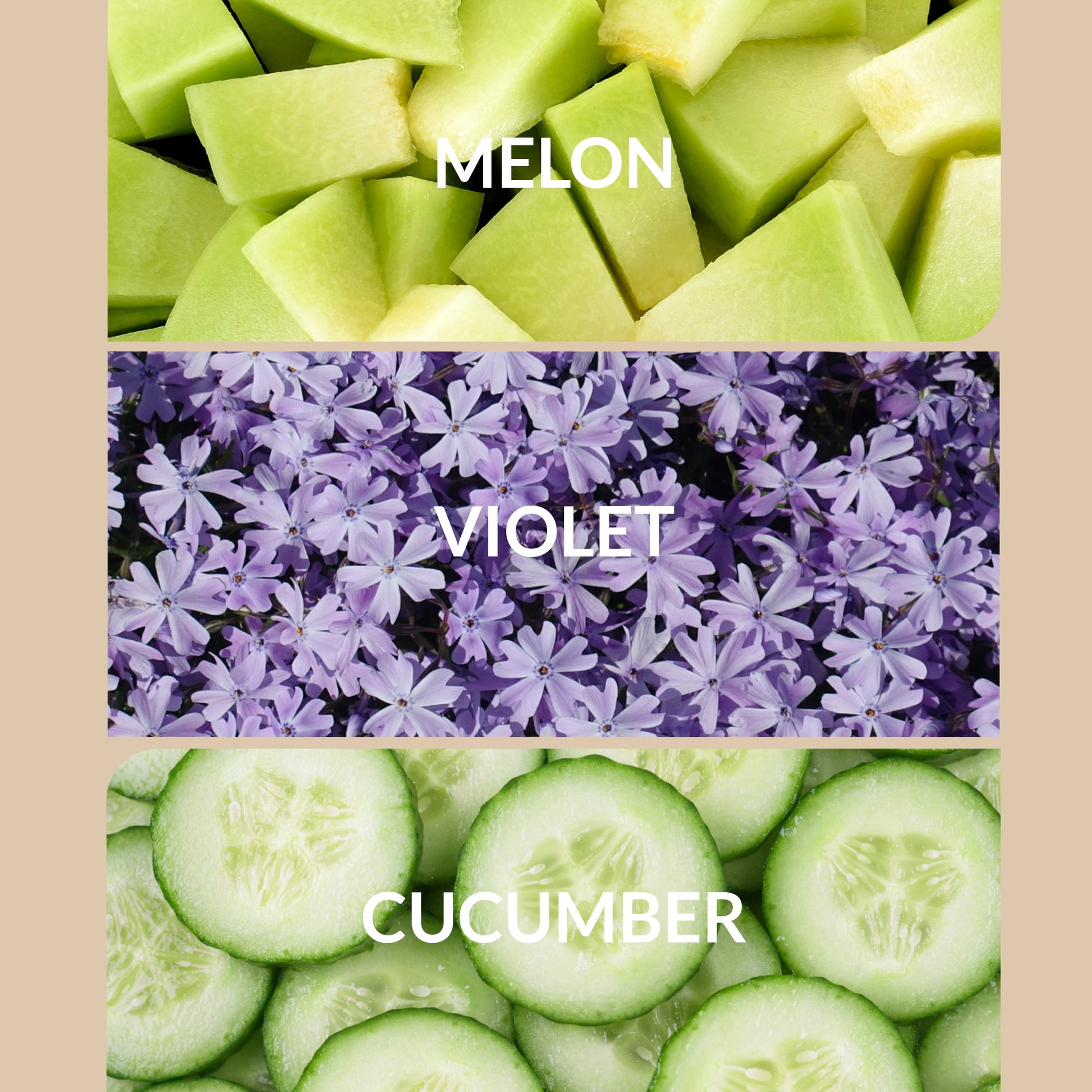 Trending Wellness Store
