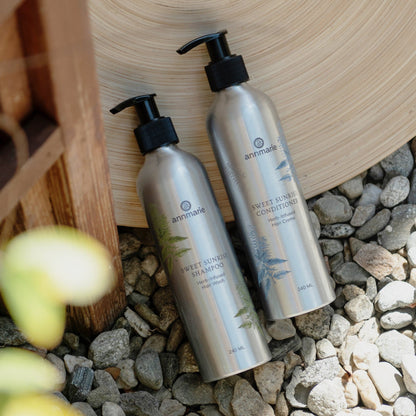 Sweet Sunrise Conditioner (240ml)- Collective - Trending Wellness Store