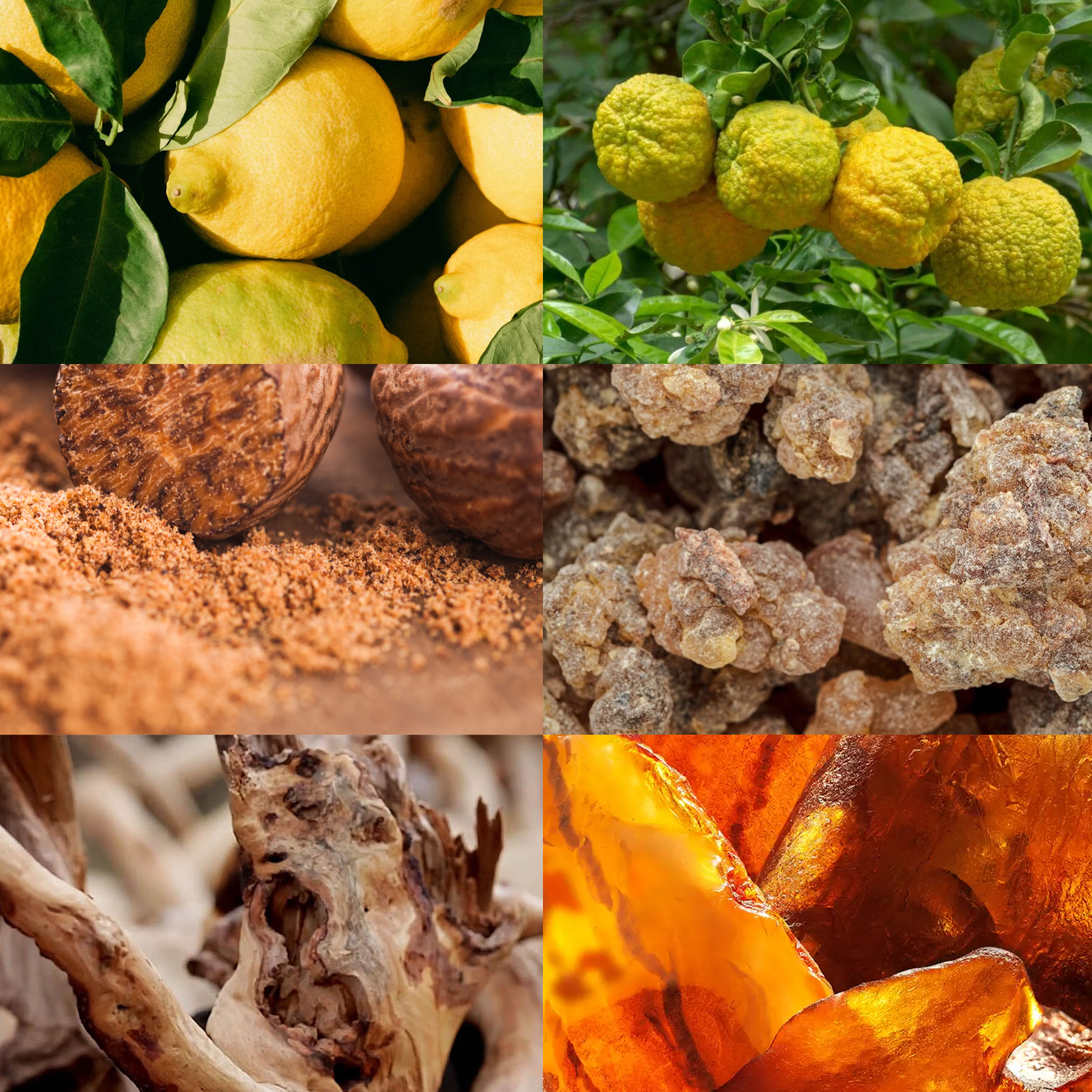 Trending Wellness Store