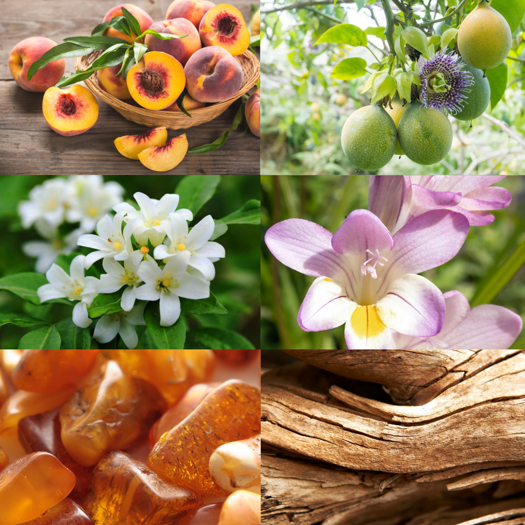 Trending Wellness Store