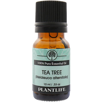 Tea Tree Essential Oil - Trending Wellness Store