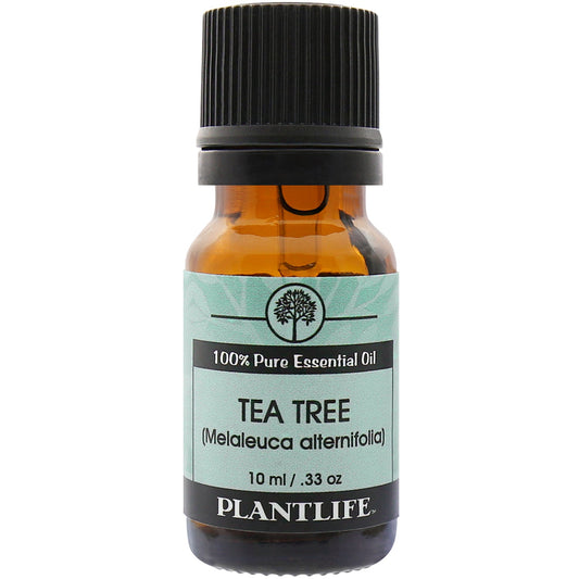 Tea Tree Essential Oil - Trending Wellness Store