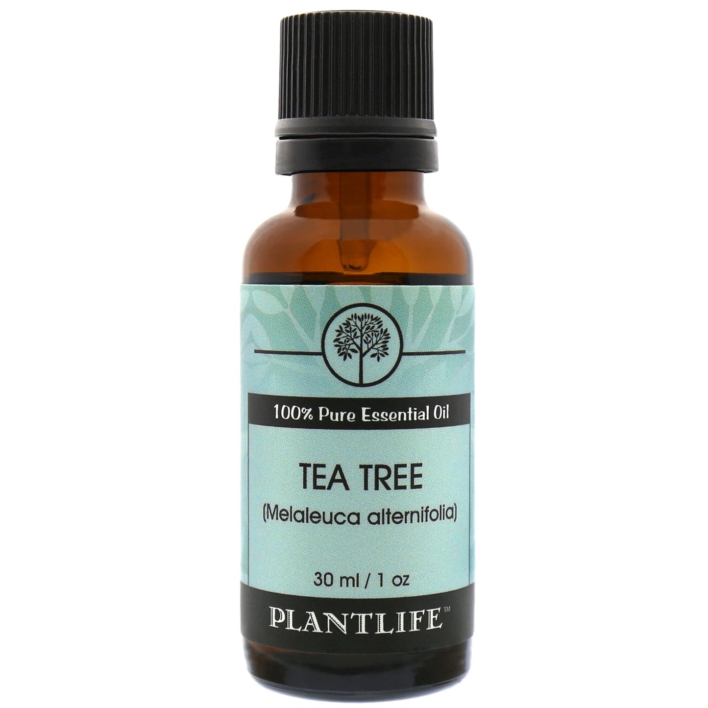 Tea Tree Essential Oil - Trending Wellness Store