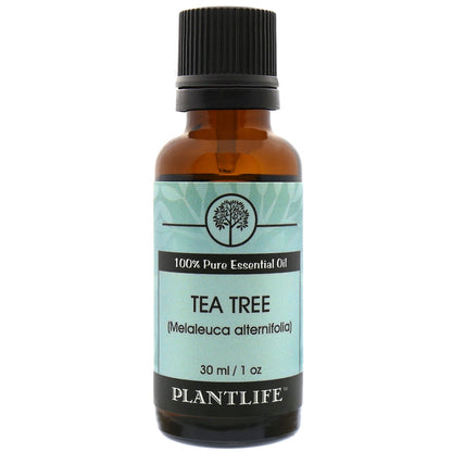 Tea Tree Essential Oil - Trending Wellness Store