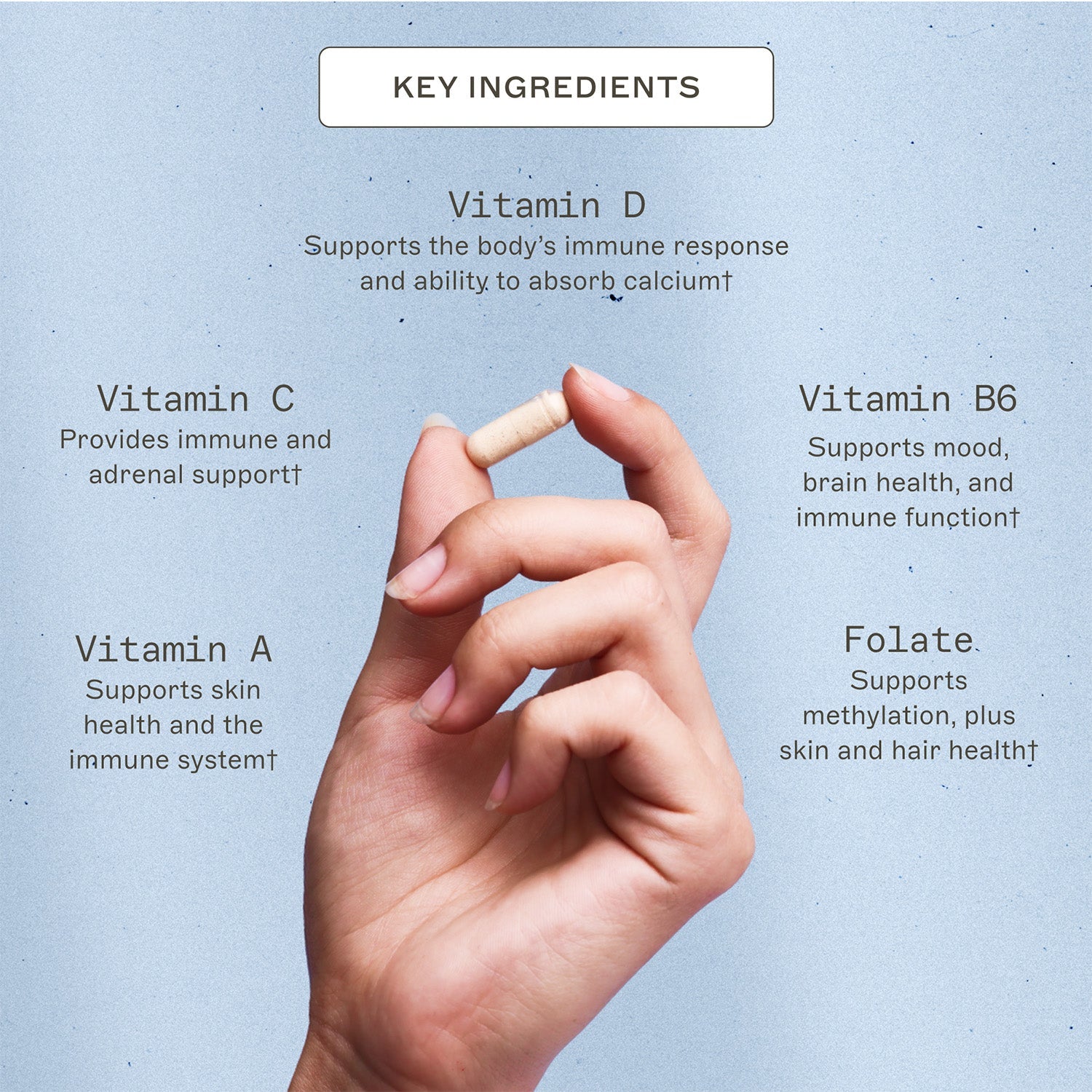 Trending Wellness Store