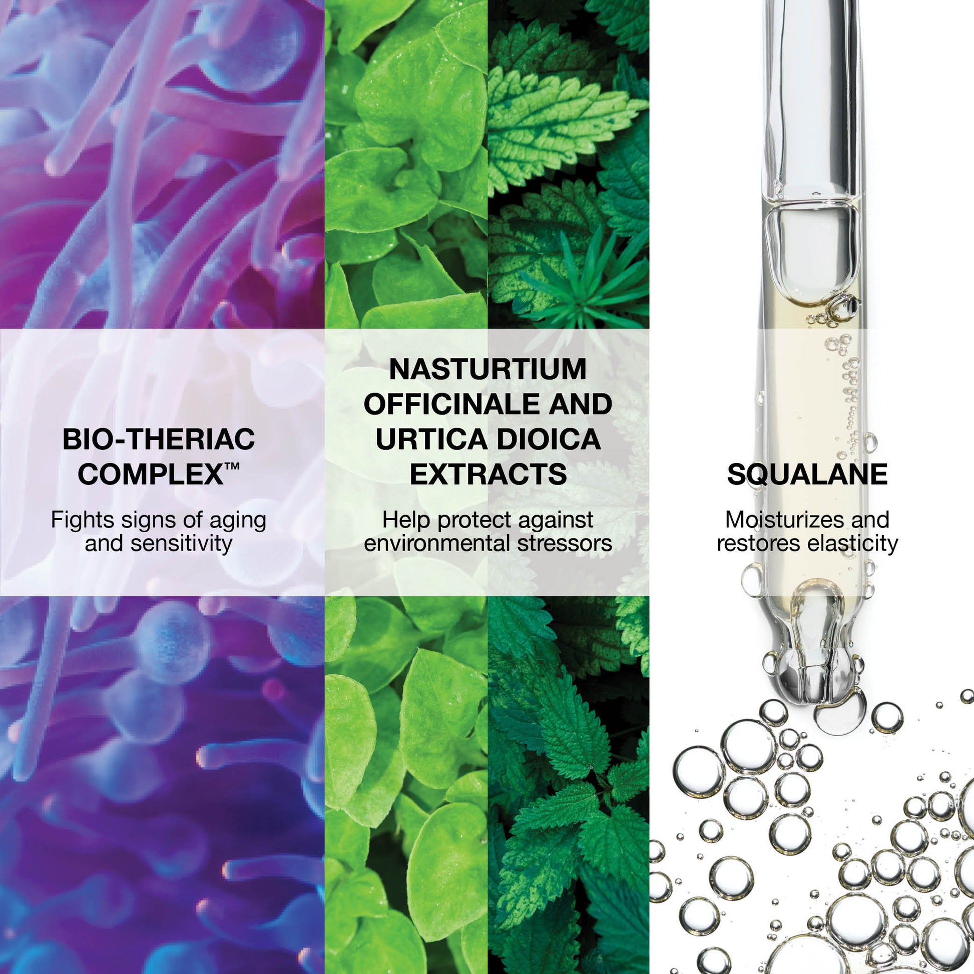 Trending Wellness Store