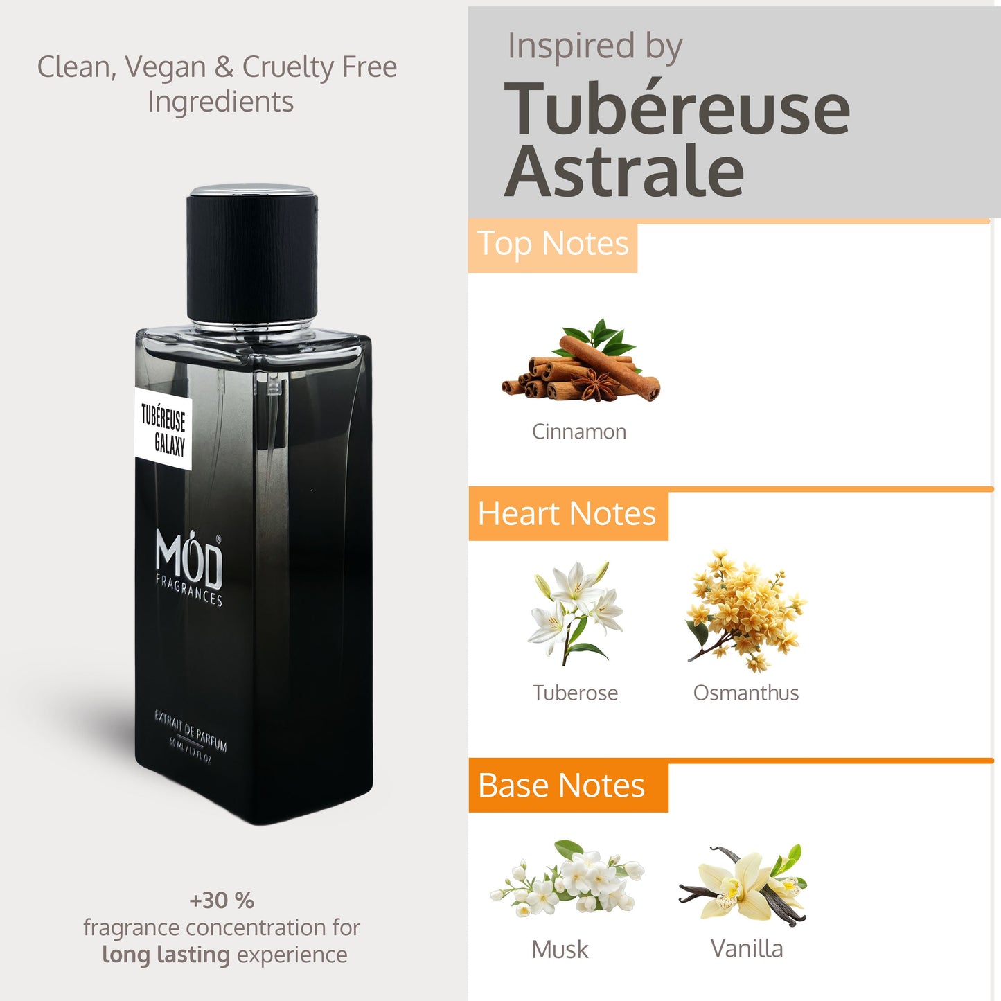 Tubéreuse Galaxy - Trending Wellness Store