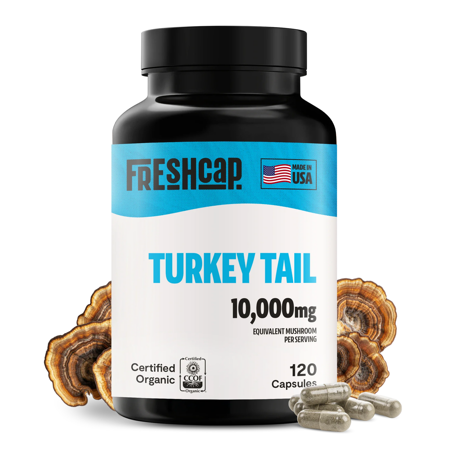 Turkey Tail Mushroom Extract Capsules - Trending Wellness Store