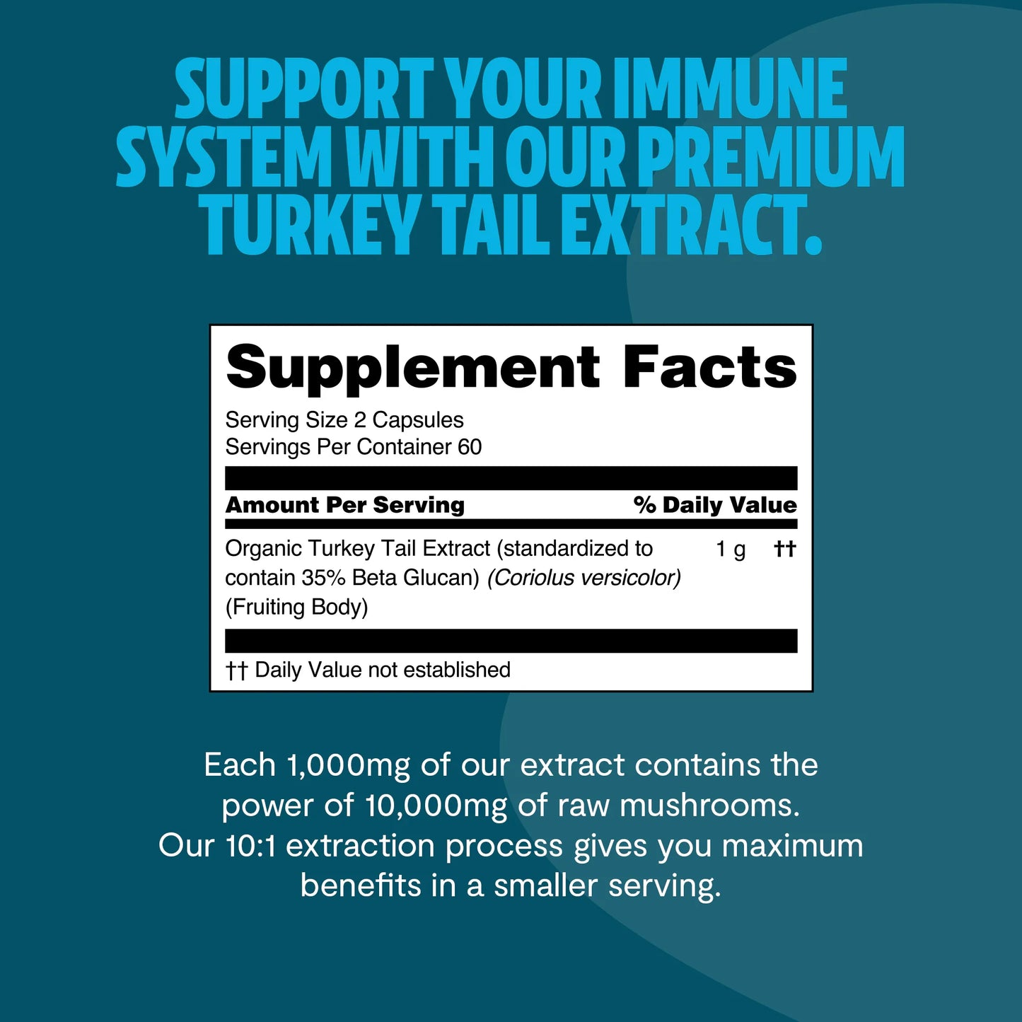 Turkey Tail Mushroom Extract Capsules - Trending Wellness Store