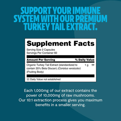 Turkey Tail Mushroom Extract Capsules - Trending Wellness Store