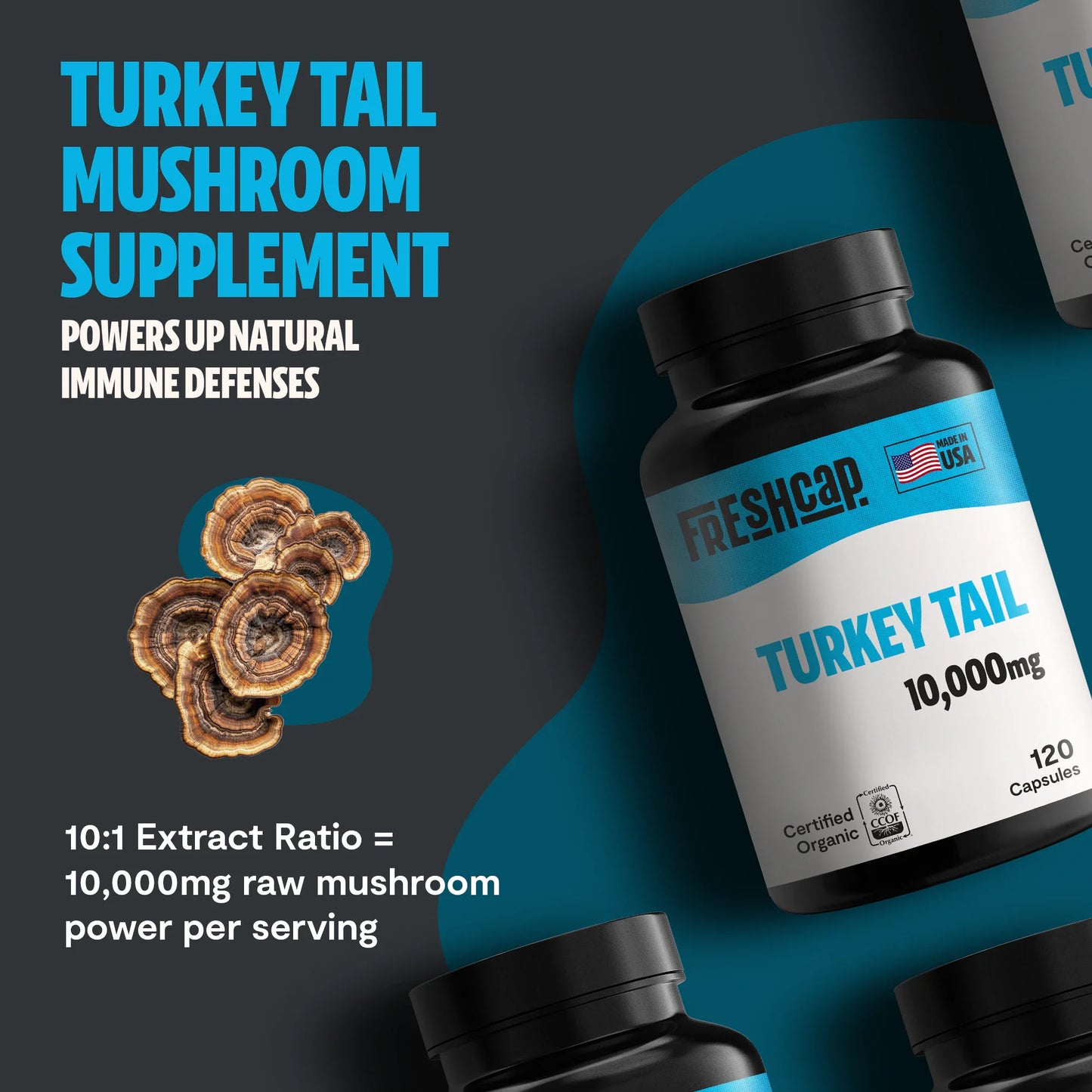Turkey Tail Mushroom Extract Capsules - Trending Wellness Store