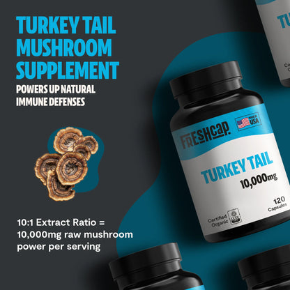 Turkey Tail Mushroom Extract Capsules - Trending Wellness Store