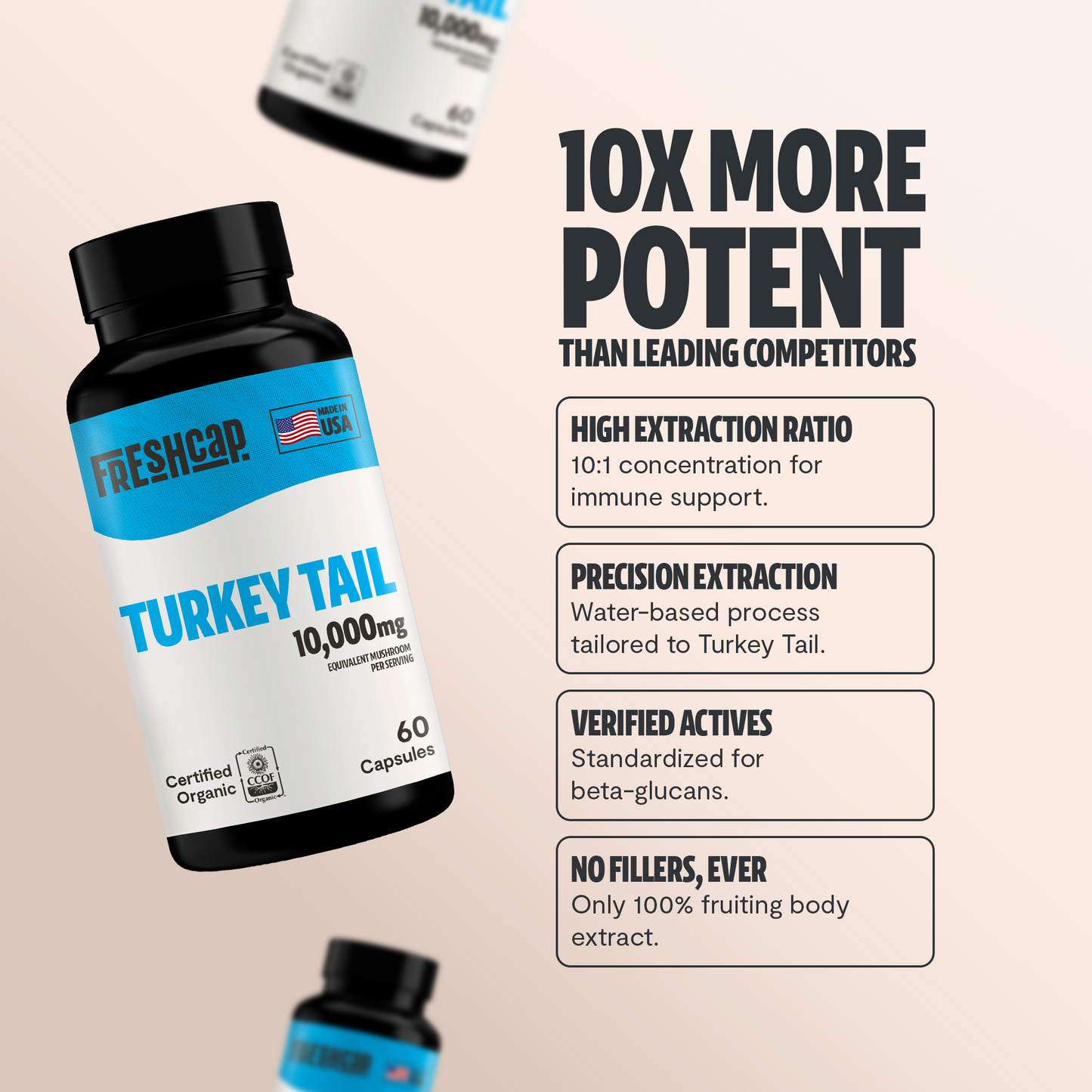 Turkey Tail Mushroom Extract Capsules - Trending Wellness Store