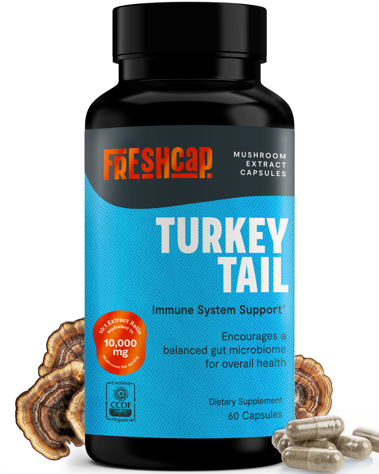 Turkey Tail Mushroom Extract Capsules - Trending Wellness Store