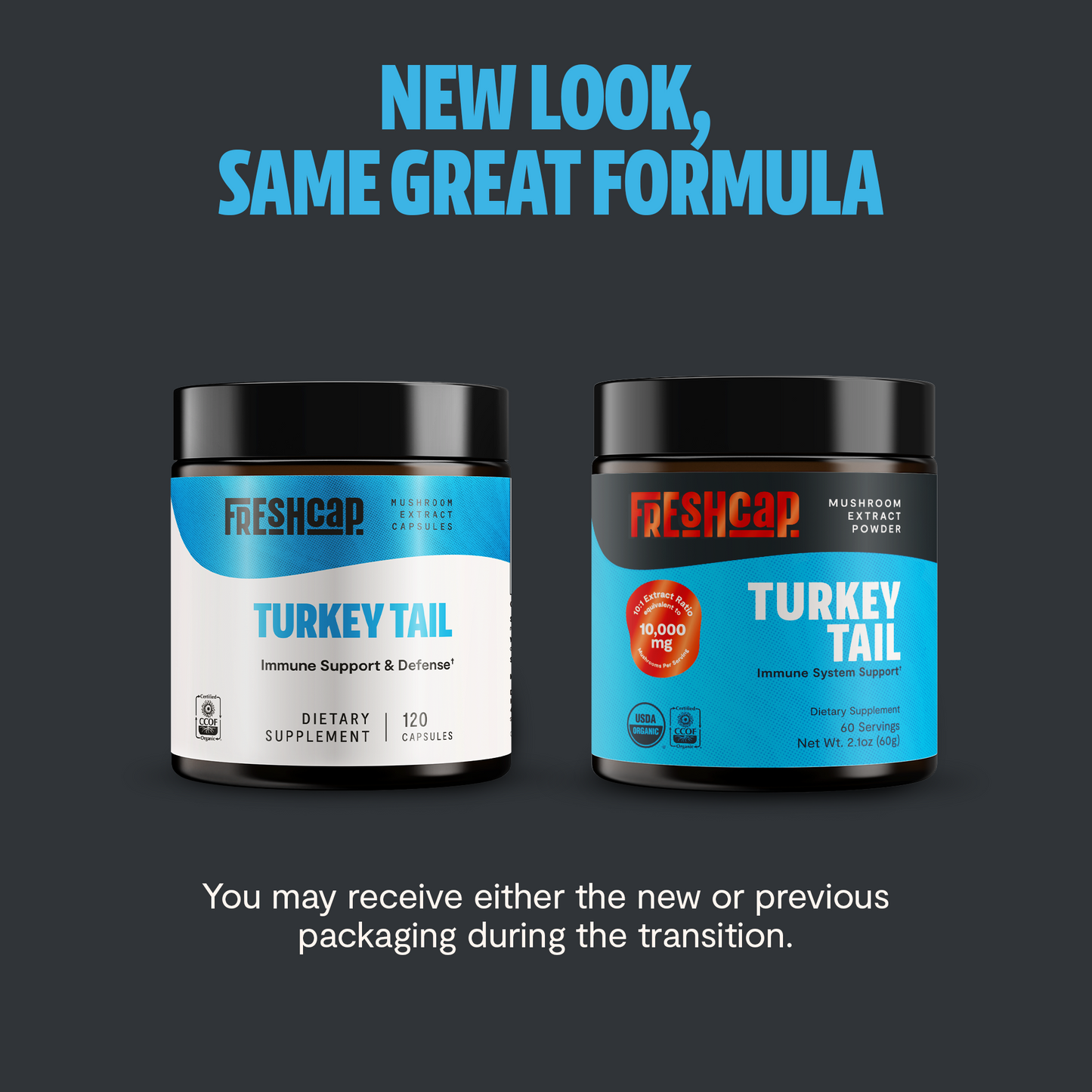 Turkey Tail Mushroom Extract Powder - Trending Wellness Store