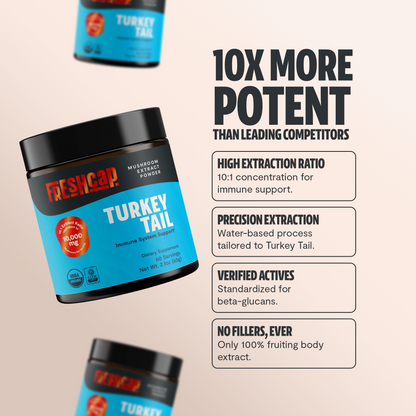 Turkey Tail Mushroom Extract Powder - Trending Wellness Store