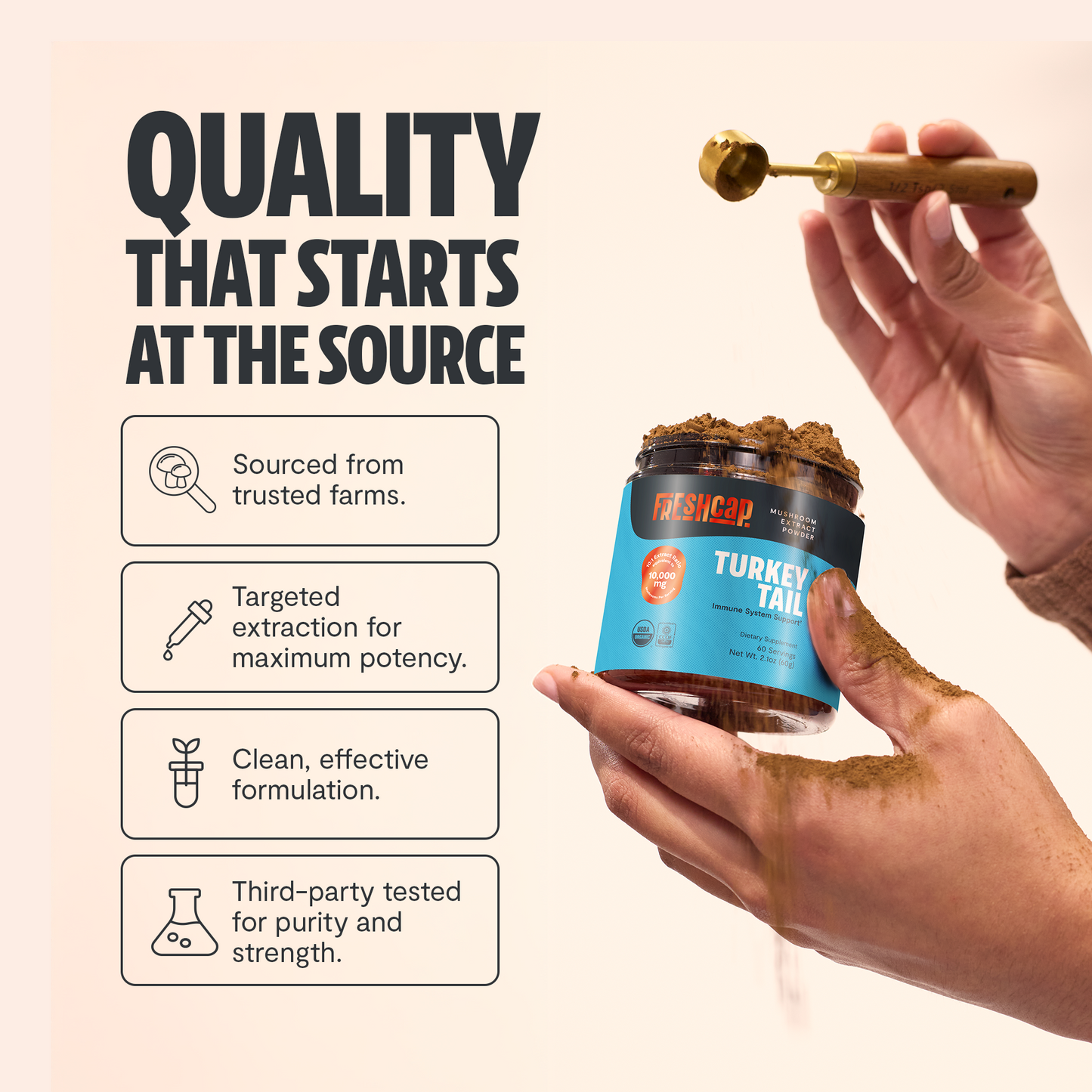 Turkey Tail Mushroom Extract Powder - Trending Wellness Store