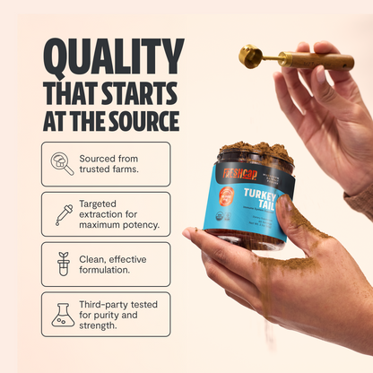 Turkey Tail Mushroom Extract Powder - Trending Wellness Store