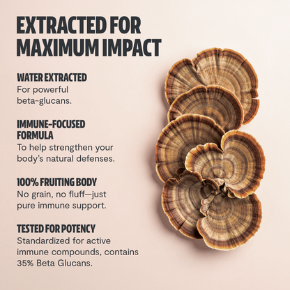 Turkey Tail Mushroom Extract Powder - Trending Wellness Store