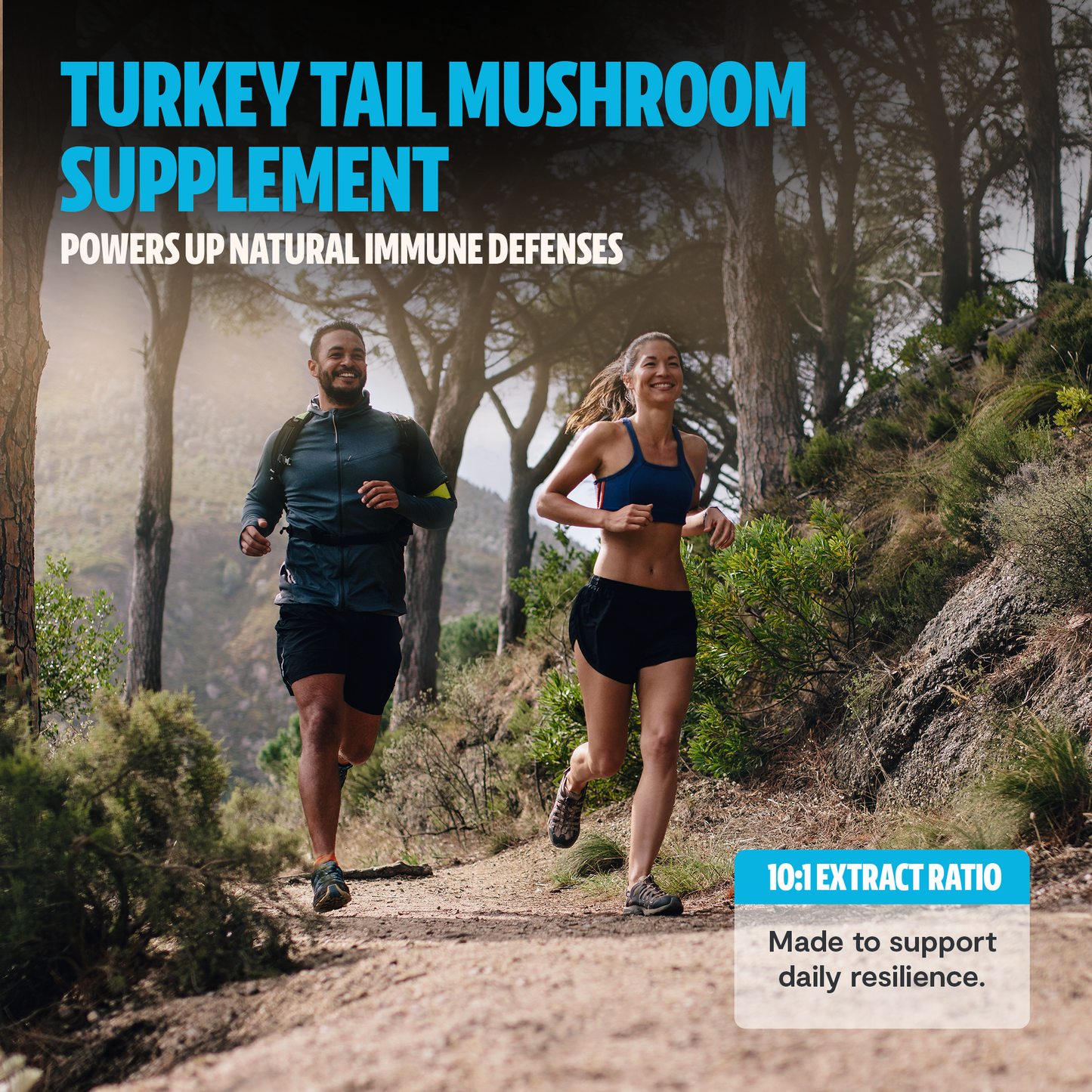 Turkey Tail Mushroom Extract Powder - Trending Wellness Store