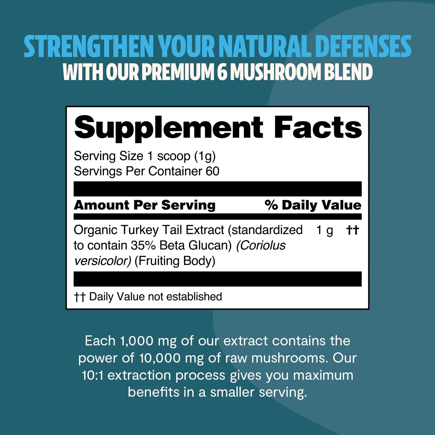 Turkey Tail Mushroom Extract Powder - Trending Wellness Store