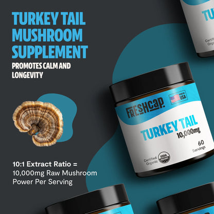 Turkey Tail Mushroom Extract Powder - Trending Wellness Store
