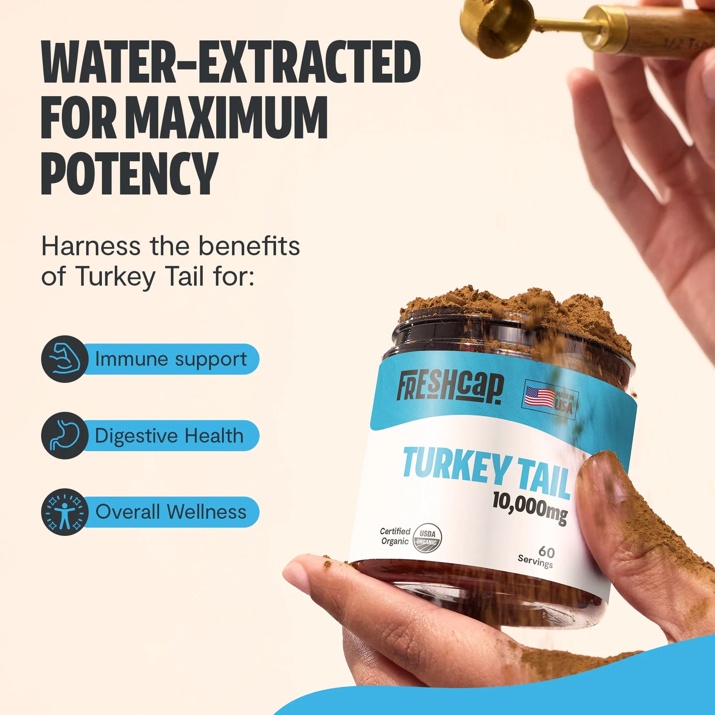Turkey Tail Mushroom Extract Powder - Trending Wellness Store