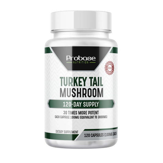 Turkey Tail Mushroom Supplement - Trending Wellness Store
