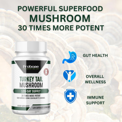 Turkey Tail Mushroom Supplement - Trending Wellness Store