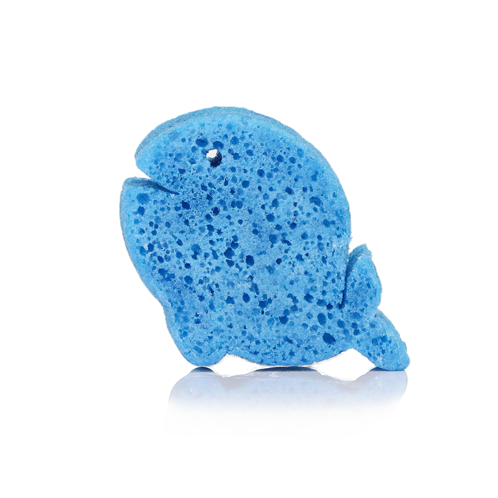 Walter Whale | Sea Animals - Trending Wellness Store