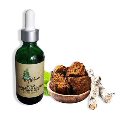 Wild Canadian Chaga Elixir - Trending Wellness Store