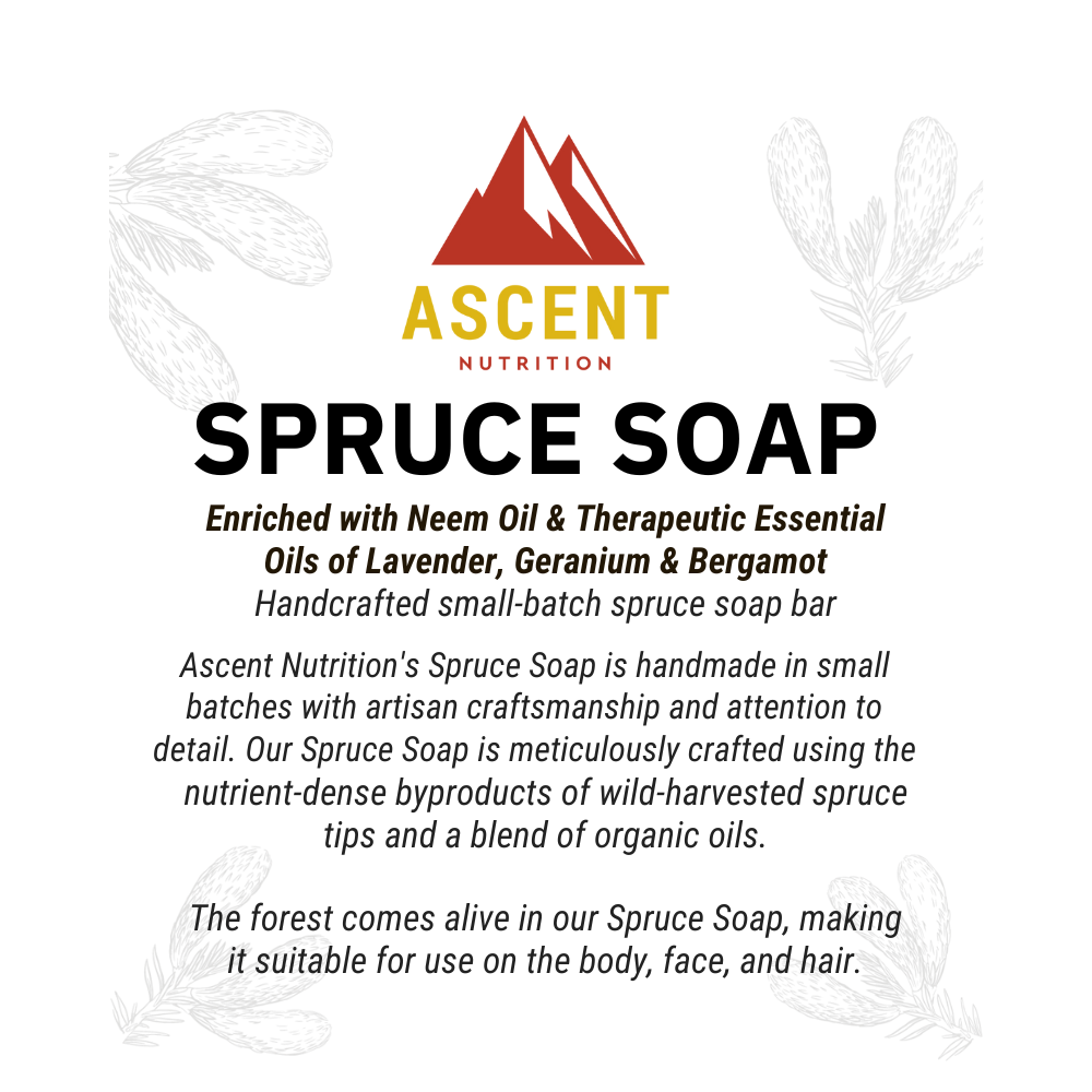 Wild-Harvested Spruce Soap, 6 oz Bar - Trending Wellness Store