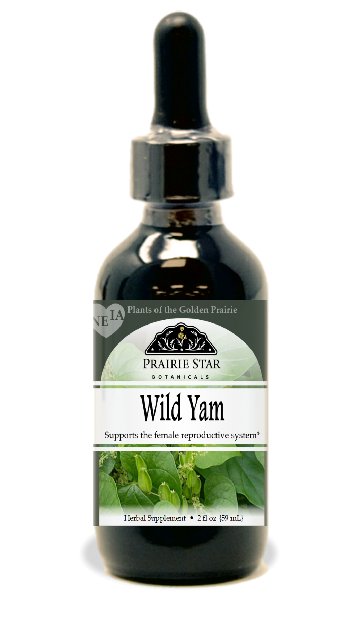 Trending Wellness Store