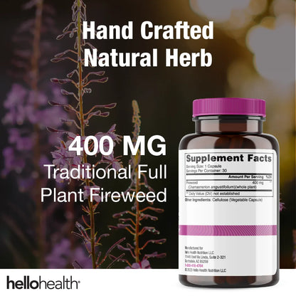 Willow Herb Fireweed - Trending Wellness Store