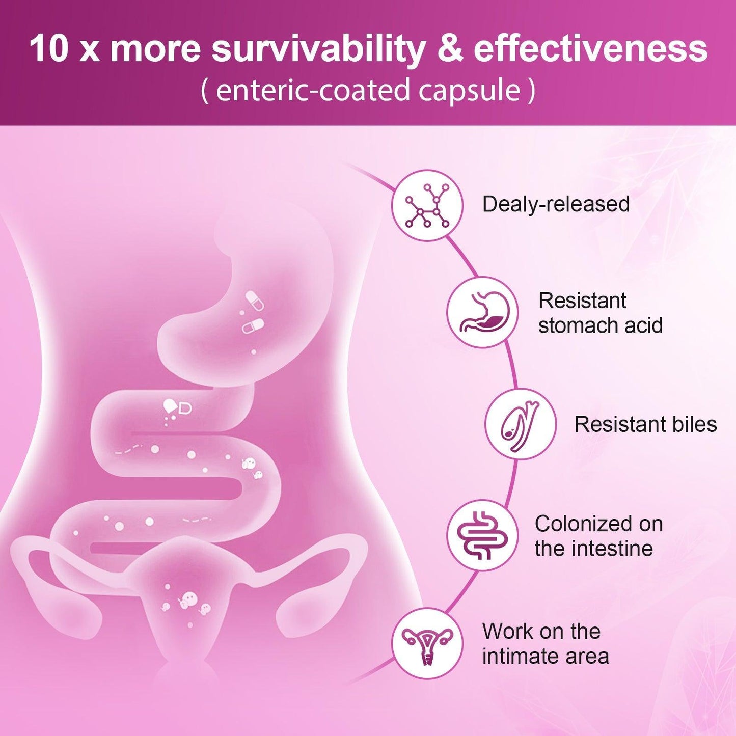 Women’s Gut Health Probiotics, 100 Billion CFUs - Trending Wellness Store