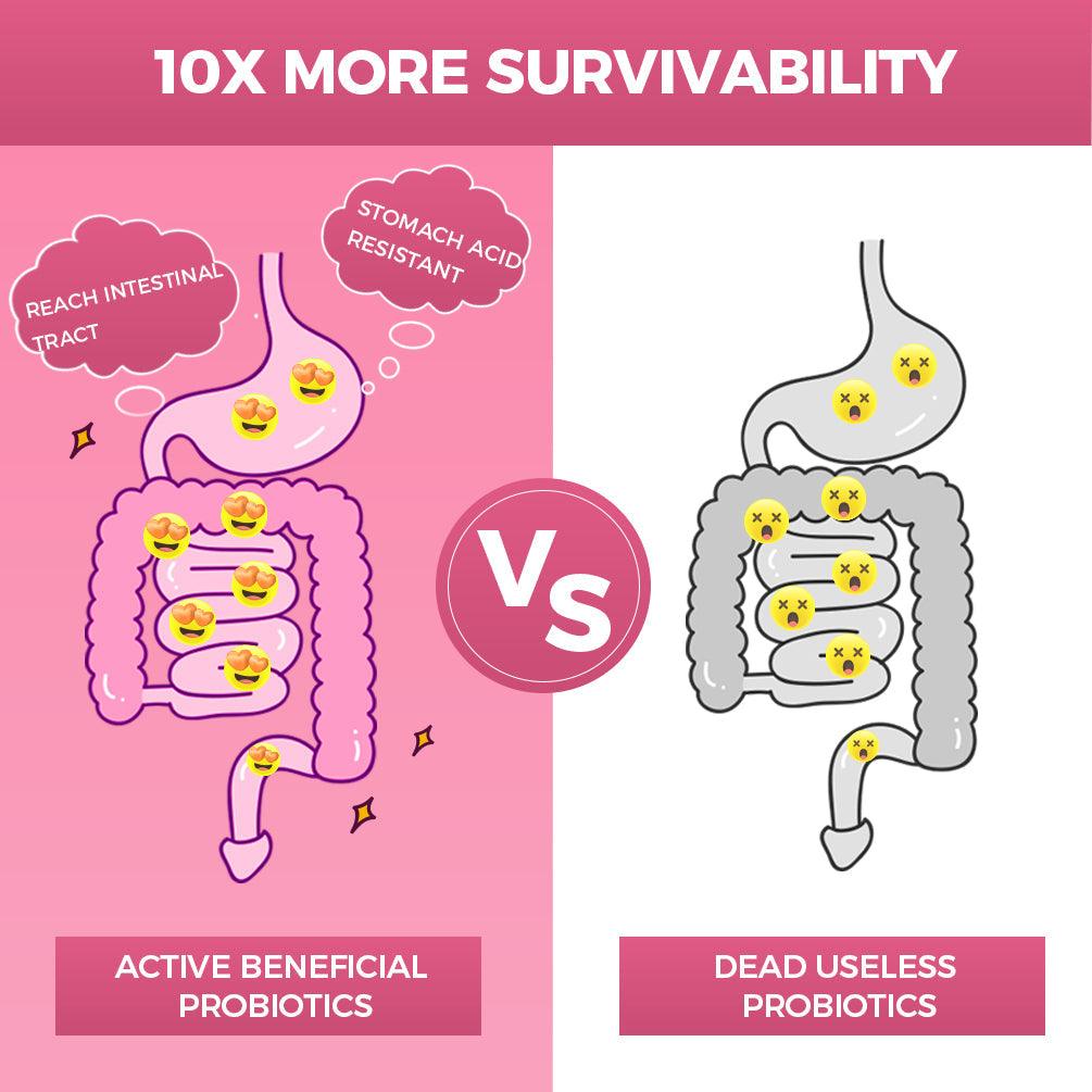 Women’s Probiotic & Prebiotic Powder, 50 Billion CFUs, 30 Packs - Trending Wellness Store