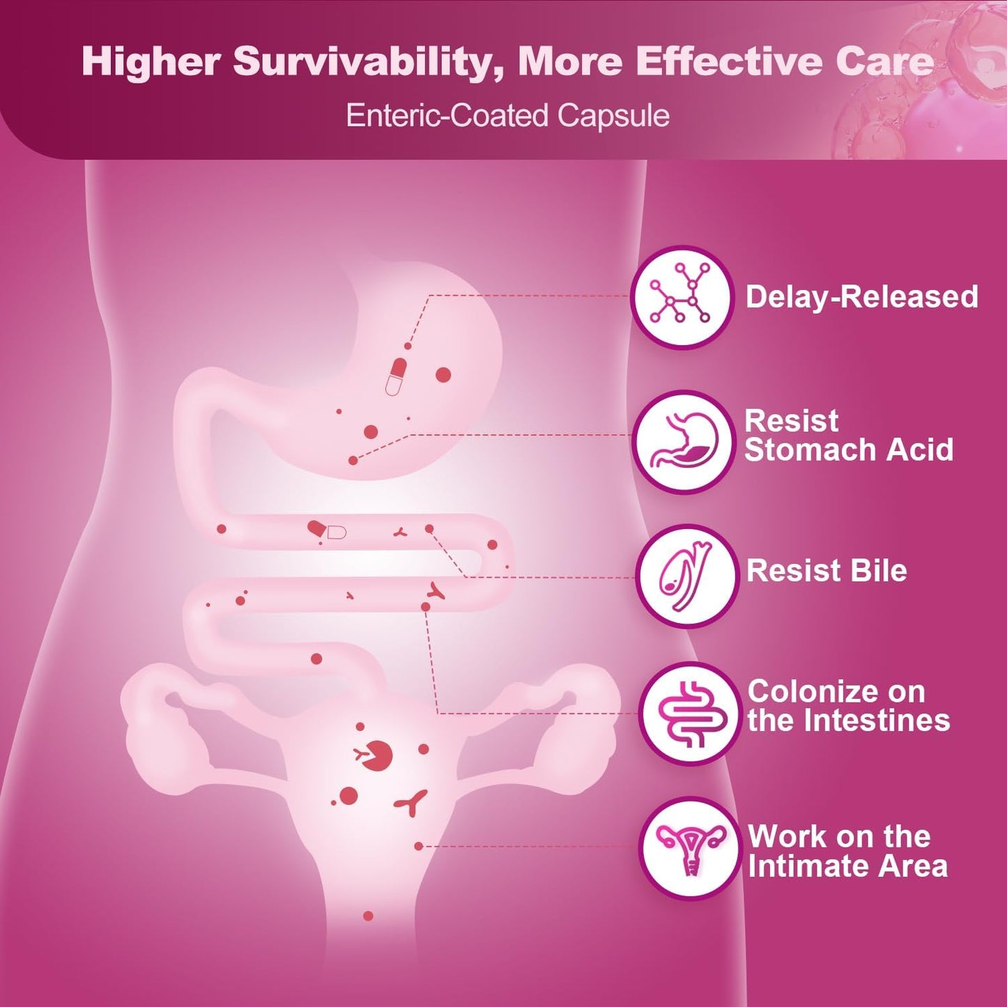 Women’s Urinary Health Probiotics, 60 Billion Probiotics - Trending Wellness Store