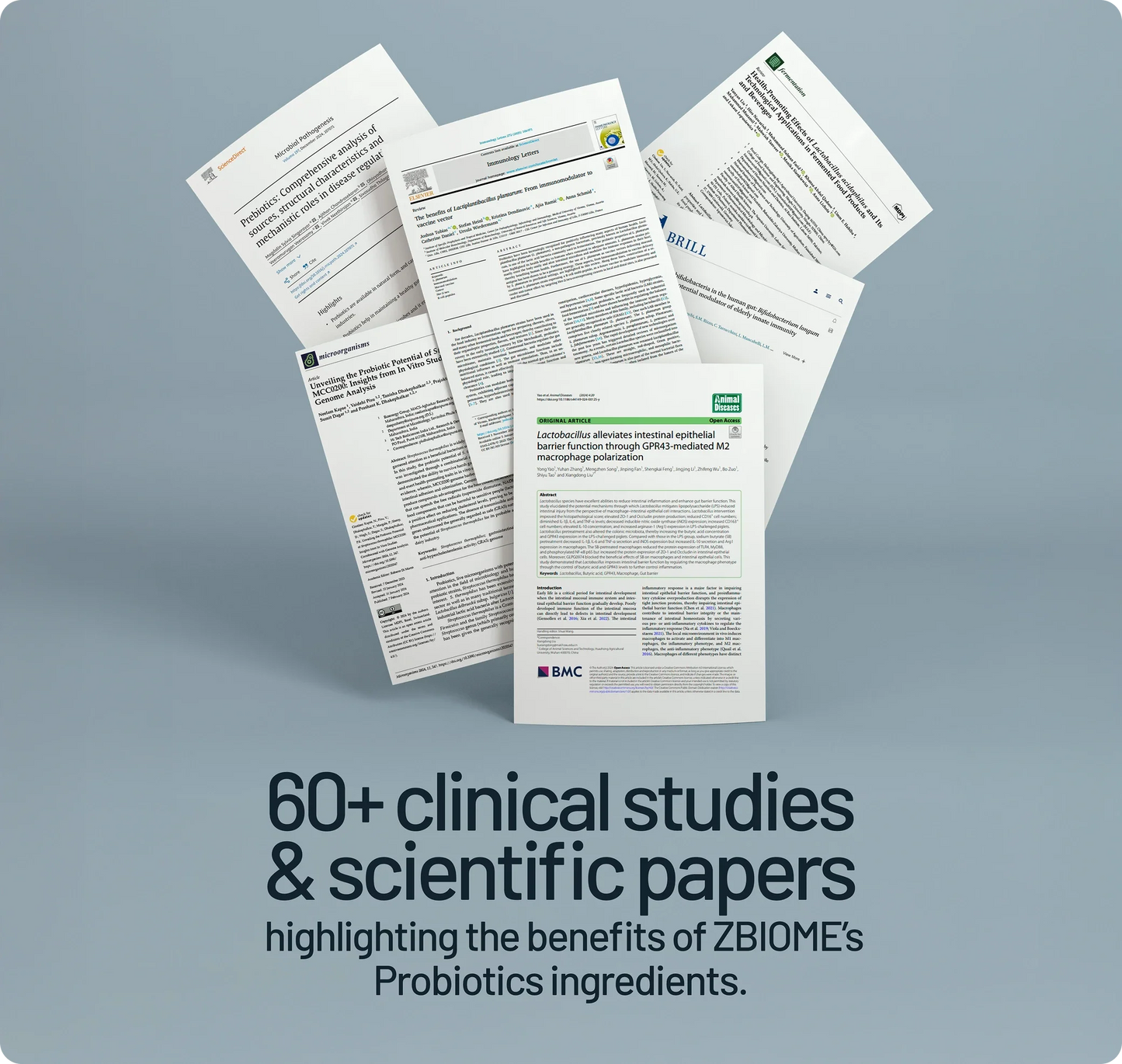 ZBIOME Probiotic + Prebiotic + Digestive Enzymes - Trending Wellness Store