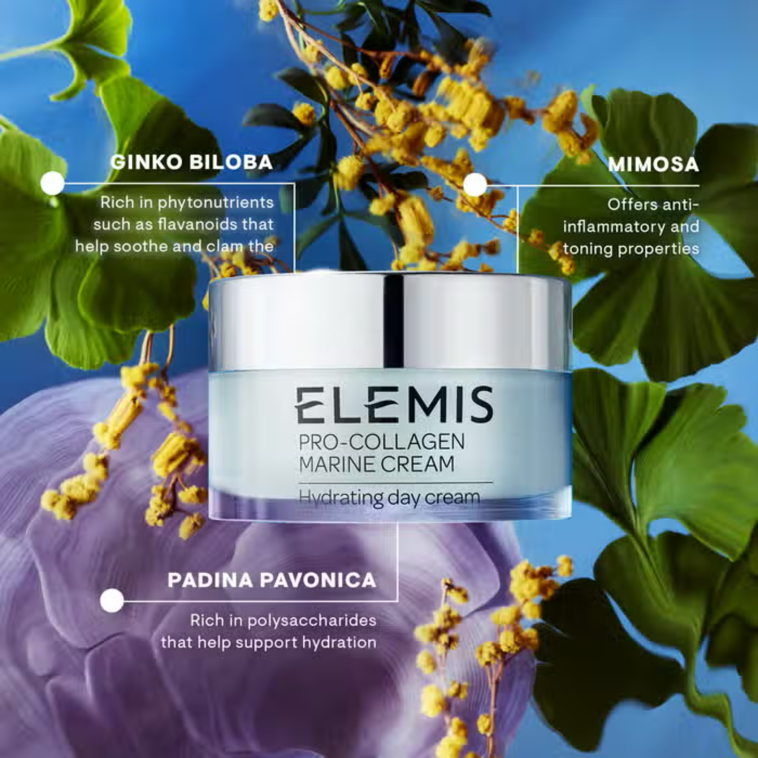 Trending Wellness Store