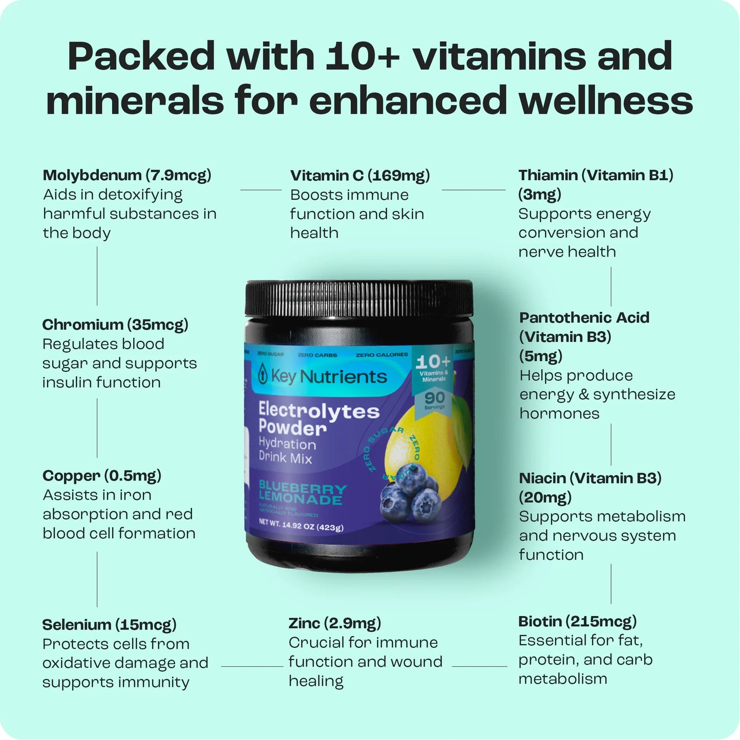 Electrolyte Recovery Plus Powder (Sugar-Free)