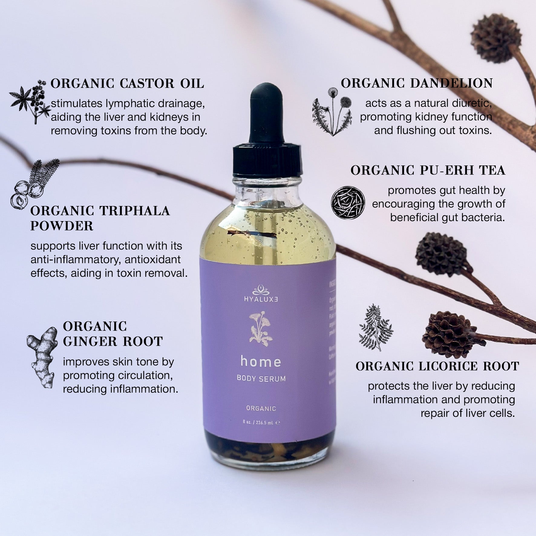 Trending Wellness Store